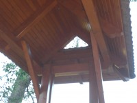 /album/fotogaleria/cimg2378-jpg/